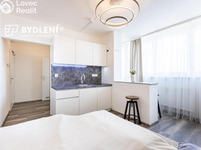 Pronájem bytu 1+KK Praha, Děčínská č. 2