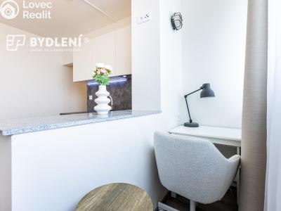 Оренда квартири 1+KK Praha, Děčínská č. 8