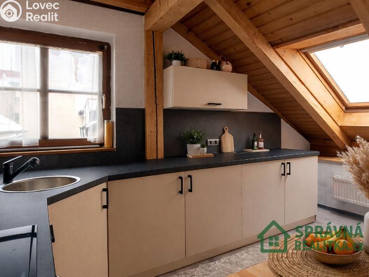 Prodej atypického bytu Plzeň, Veleslavínova č. 4