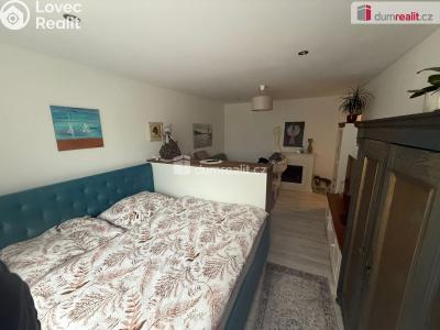 Prodej bytu 2+1 Cheb, Mírová č. 4