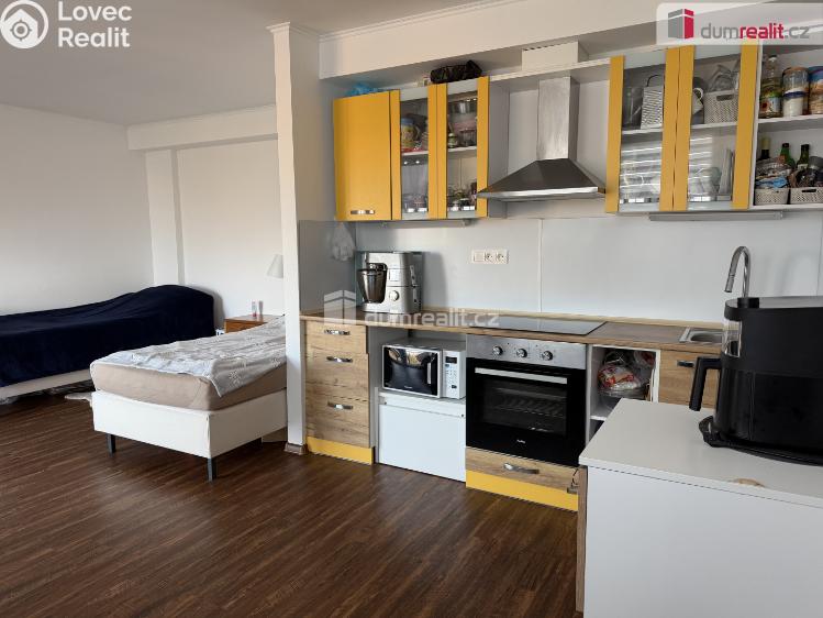 Аренда квартиры 1+KK Karlovy Vary, Dubová č. 2