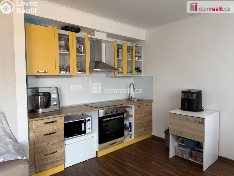 Аренда квартиры 1+KK Karlovy Vary, Dubová č. 3