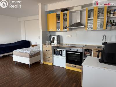 Аренда квартиры 1+KK Karlovy Vary, Dubová č. 2