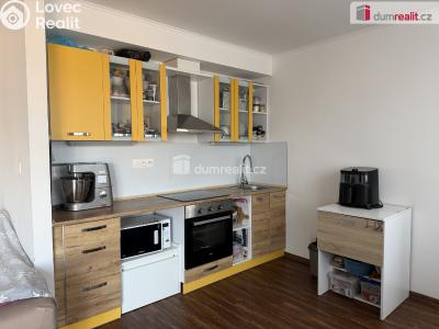 Аренда квартиры 1+KK Karlovy Vary, Dubová č. 3