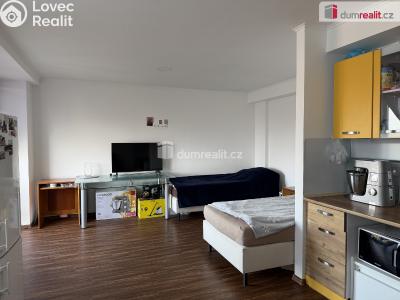 Аренда квартиры 1+KK Karlovy Vary, Dubová č. 4