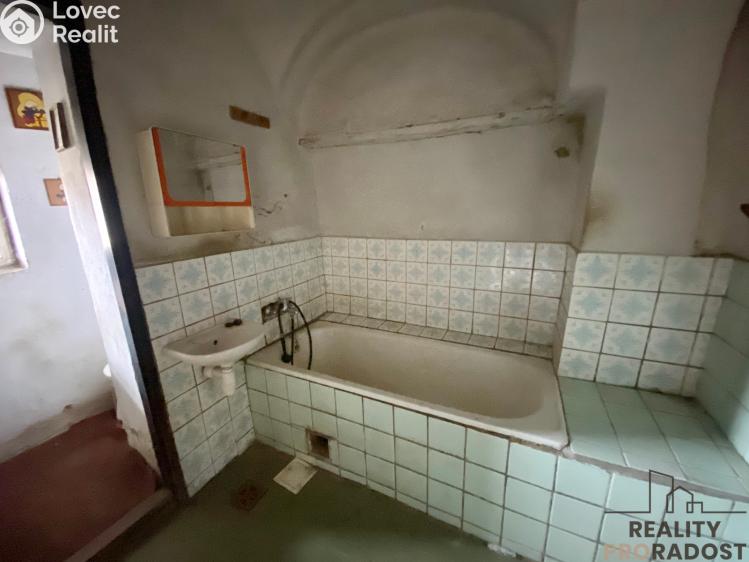 Prodej rodinného domu Dlouhá Loučka, Úzká č. 8