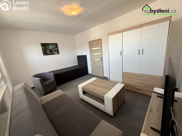 Rent apartment 1+1 Klatovy, Voříškova č. 1