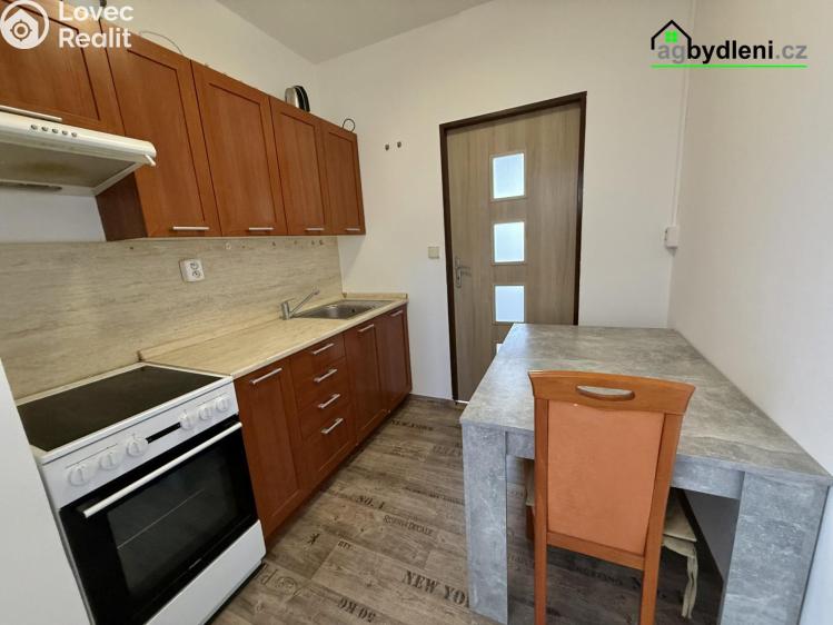 Rent apartment 1+1 Klatovy, Voříškova č. 2