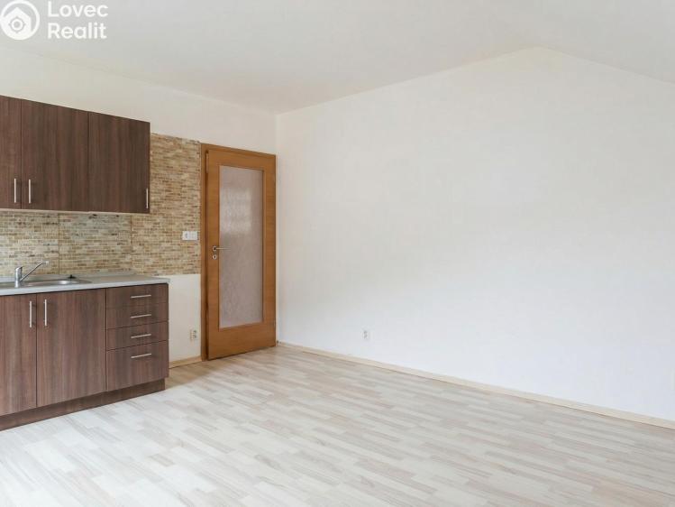 Rent apartment 3+KK Děčín, Teplická č. 7