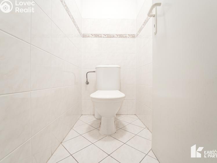 Prodej restaurace Malínky č. 13