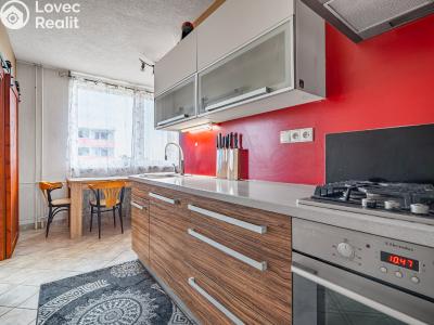 Prodej bytu 3+1 Břeclav, U Splavu č. 3