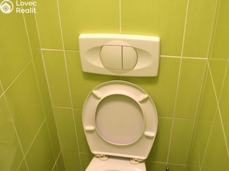 Pronájem rodinného domu Brodek u Prostějova, Havlíčkova č. 19