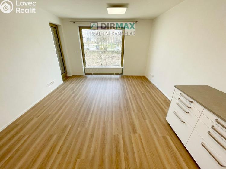 Pronájem bytu 2+KK Plzeň, Modřínová 2436/2 č. 9