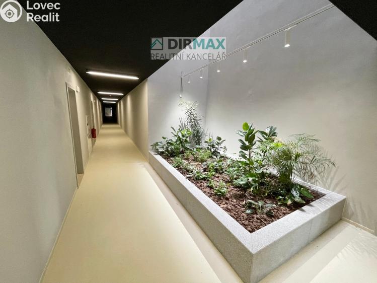 Pronájem bytu 2+KK Plzeň, Modřínová 2436/2 č. 27