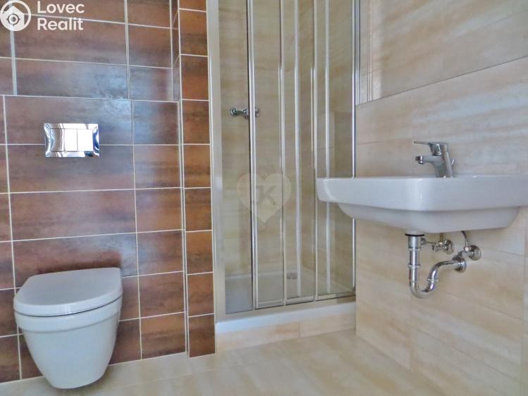 Pronájem bytu 1+KK Praha, Oty Bubeníčka č. 12