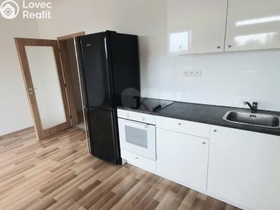 Pronájem bytu 1+KK Praha, Oty Bubeníčka č. 4