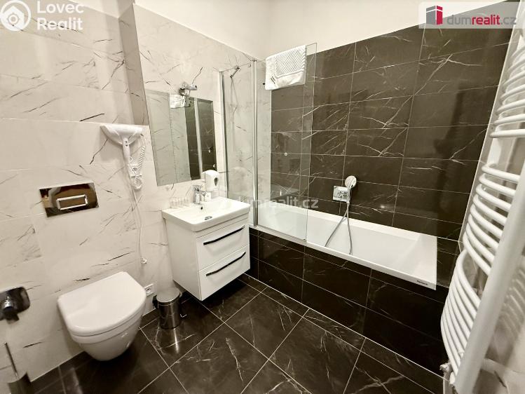 Rent apartment 3+1 Mariánské Lázně, Ibsenova č. 43