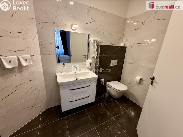 Rent apartment 3+1 Mariánské Lázně, Ibsenova č. 25