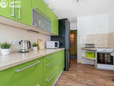 Продаж сімейного будинку Plzeň, Jilmová č. 1