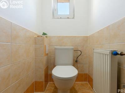 Продажа семейного дома Plzeň, Jilmová č. 9