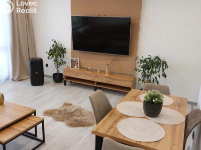 Pronájem bytu 3+1 Leskovec nad Moravicí č. 4