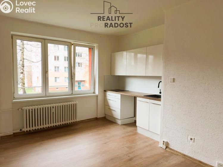 Pronájem bytu 1+KK Havířov, Emila Holuba č. 1