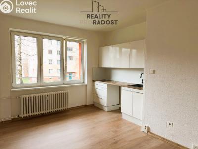 Pronájem bytu 1+KK Havířov, Emila Holuba č. 1