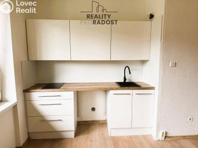 Pronájem bytu 1+KK Havířov, Emila Holuba č. 2