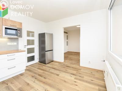 Продажа квартиры 1+1 Praha, plukovníka Mráze č. 4
