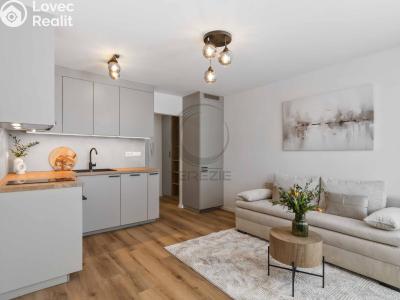 Продажа квартиры 1+KK Praha, Tovární č. 1