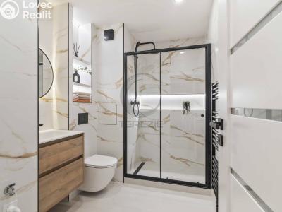 Продажа квартиры 1+KK Praha, Tovární č. 2