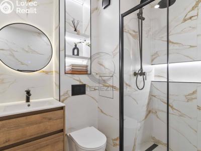 Продажа квартиры 1+KK Praha, Tovární č. 3