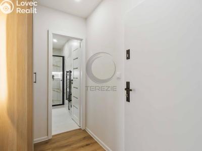 Продажа квартиры 1+KK Praha, Tovární č. 4