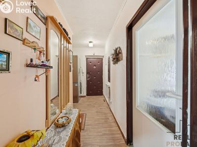 Sale apartment 2+1 Vizovice, čtvrť A. Háby 804 č. 13