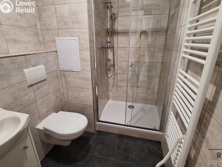 Pronájem bytu 1+1 Ústí nad Labem, Jizerská č. 4