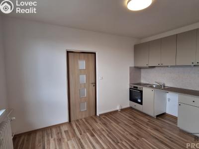 Аренда квартиры 1+1 Ústí nad Labem, Jizerská č. 3