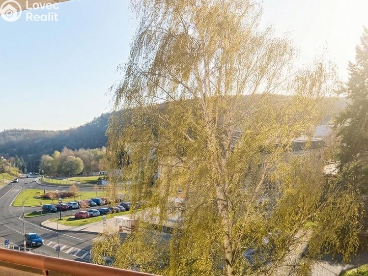 Rent apartment 4+KK Meziboří, J. A. Komenského 291 č. 8