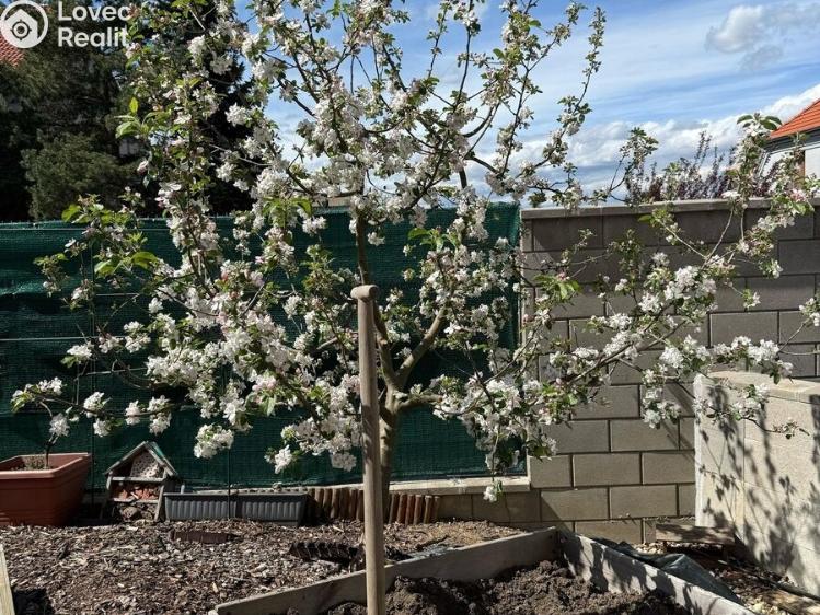 Pronájem bytu 2+KK Praha, Žalanského č. 16