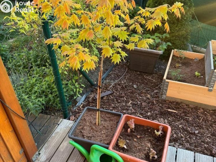 Pronájem bytu 2+KK Praha, Žalanského č. 17