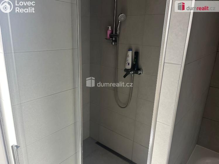 Pronájem rodinného domu Dolní Bousov, Nádražní 290 č. 10