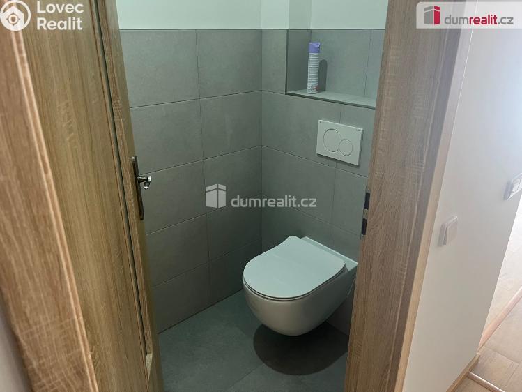 Pronájem rodinného domu Dolní Bousov, Nádražní 290 č. 13