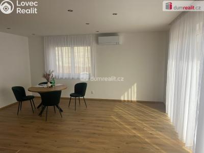 Pronájem rodinného domu Dolní Bousov, Nádražní 290 č. 3