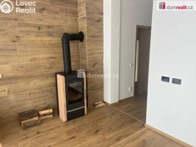 Pronájem rodinného domu Dolní Bousov, Nádražní 290 č. 4