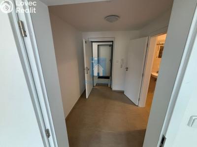 Аренда квартиры 1+KK Plzeň, Rejskova č. 4