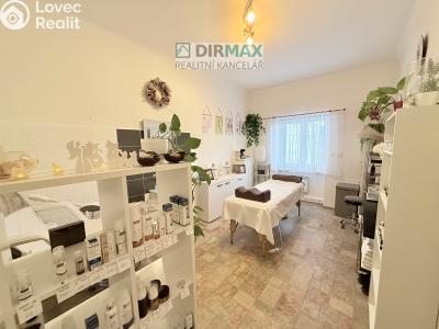 Оренда торгового приміщення Plzeň, Slovanská č. 1