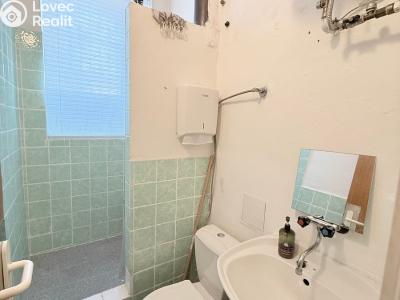 Оренда торгового приміщення Plzeň, Slovanská č. 3