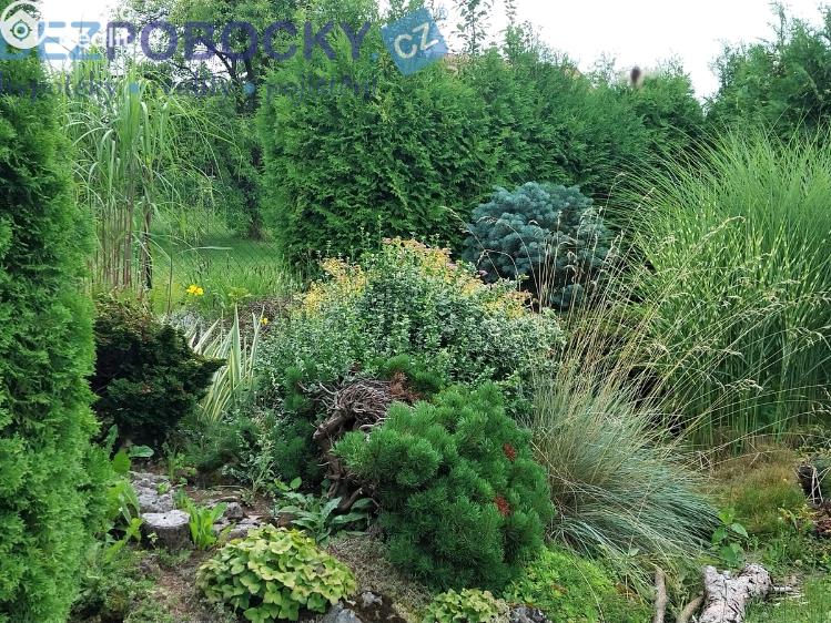 Prodej chaty Chotěboř č. 4