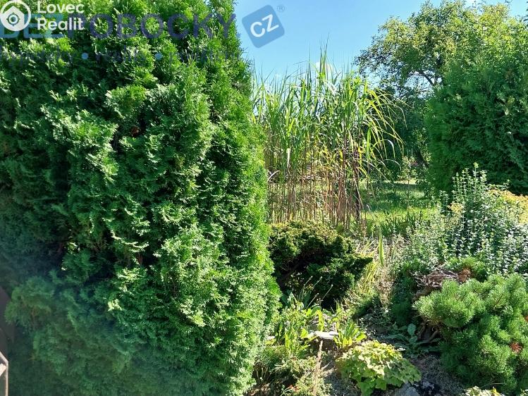 Prodej chaty Chotěboř č. 7