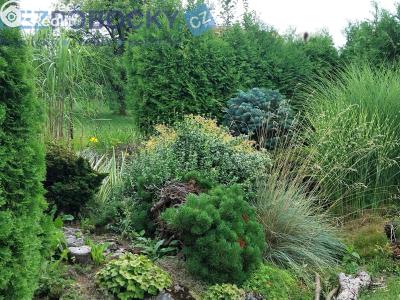 Prodej chaty Chotěboř č. 4