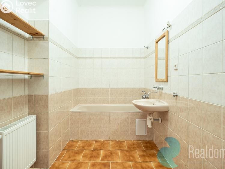 Sale apartment 3+1 České Budějovice, Skuherského č. 13